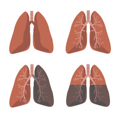 Human Lung Anatomy. Set Vector