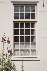 Fenster mit Stockrosen, Groningen, Niederlande