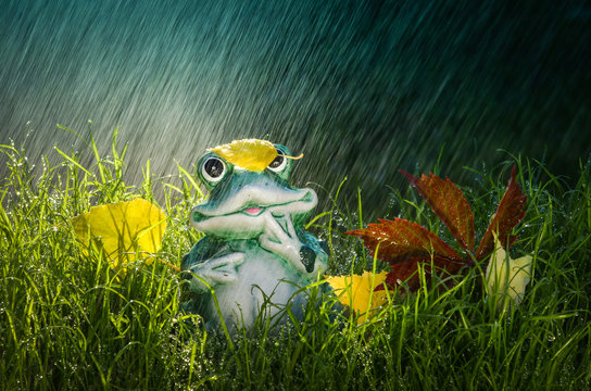 Deko Frosch im Herbstregen mit leichtem Farbeffekt Wetterfrosch im Herbstlaub