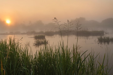 Foggy sunrise on a small river