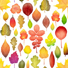 Autumn leaves seamless pattern vector background