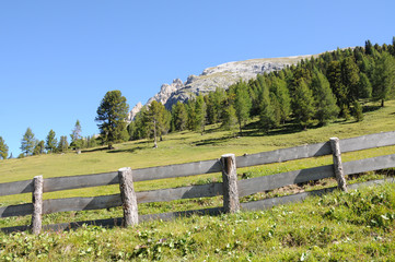 Fototapeta na wymiar Auf dem Weg zum Gipfel Dürrenstein