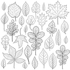 Leaves silhouette set vector. Coloring book page for adult