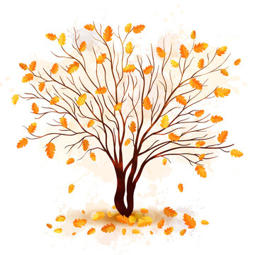 Autumn tree vector background