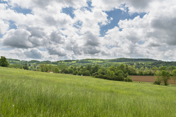 Fototapeta na wymiar meadow on a background of hills cloudy summer day