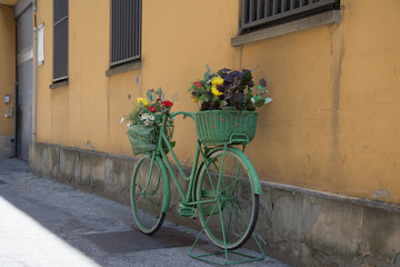 Fototapeta na wymiar Bicicletta ecologica