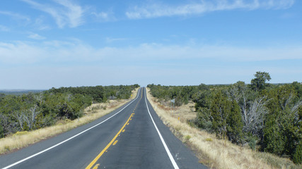 Naklejka premium Lange, gerade Straße in Arizona, Vereinigte Staaten von Amerika, zweispurige Fahrbahn mit Markierung und Standstreifen, Landschaft mit Kiefernwald und blauer Himmel mit weißen Wolken/Straße in Arizona