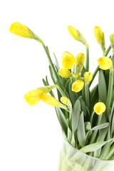 Yellow daffodils bouquet