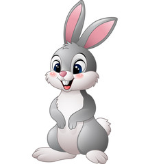 Obraz premium Cute littile bunny isolated on white background