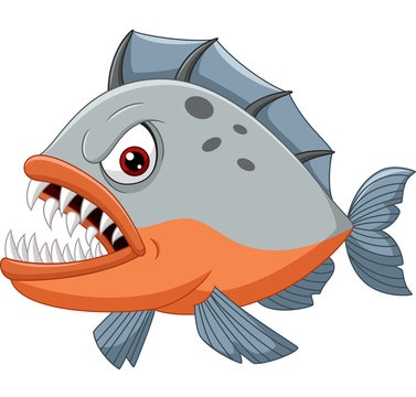 Angry piranha cartoon 