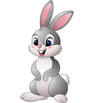 Cartoon Bunny Images – Browse 364,358 Stock Photos, Vectors, and Video |  Adobe Stock