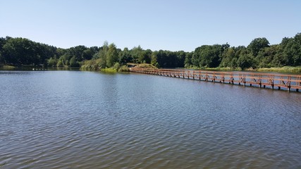 Pomost na stawie © michalsen