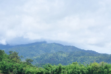 Landscape of mountain and forest, Thailand