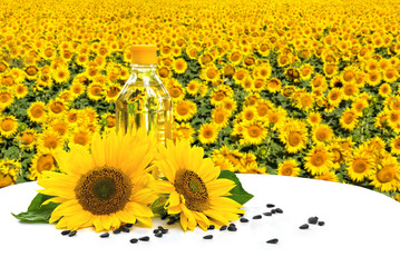 Bottle of sunflower oil with flowers and seed of sunflower on white table on background blossoming field of sunflowers