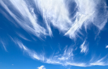 Blue sky with cirrus clouds. The clouds occur at very high altitudes, when a warm or occluded front and rain is approaching. They are very high in the troposphere.