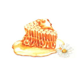 Hand drawn watercolor illustration of the food: sweet honey, isolated on the white background