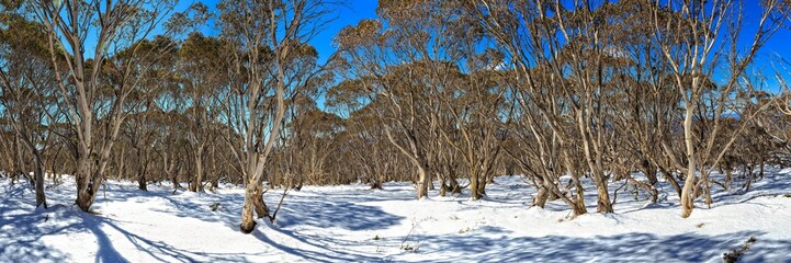 Namadgi Alpine Area