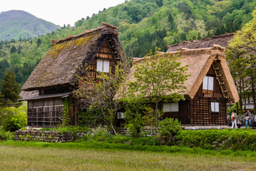 Fototapeta na wymiar Gassho-zukuri houses in Shirakawa-go