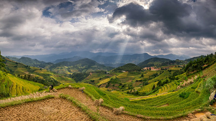 Fototapeta na wymiar Rice fields in terraced with beautiful curves on high mountain,
