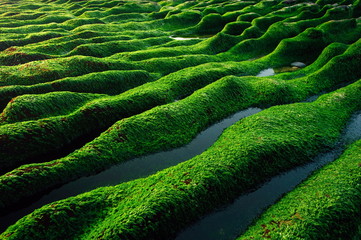 Fototapeta premium Lao May