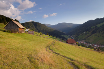 Fototapeta na wymiar Summer landscape above the village in Moeciu de Sus - Bran, Romania