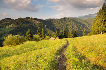 Summer landscape above the village in Moeciu de Sus - Bran, Romania