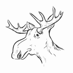 Elk, Deer Mascot Head