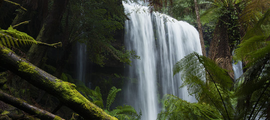 Russel Falls in Mount Field National Park.