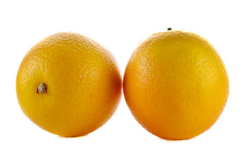 Sweet orange on white background