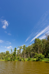 slowinski landscape