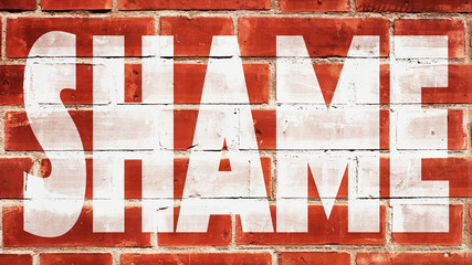 Shame Written On A Brick Wall
