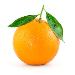 Orange fruit