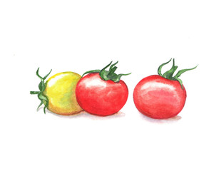 Hand drawn watercolor illustration of the food: cherry tomatoes, isolated on the white background