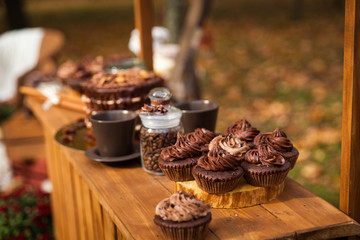 Chocolate bar or stand in autumn park
