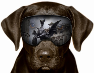 Czarny pies w Londynie, fotomontaż
 - obrazy, fototapety, plakaty