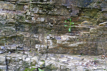 Mountain rock face details