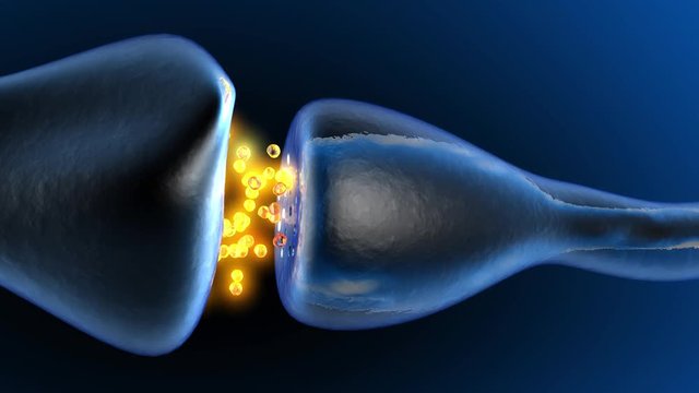 Neurotransmission in the Synapse. 3D rendered animation. 
