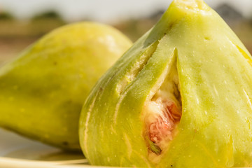 Mature fruit of the fig tree
