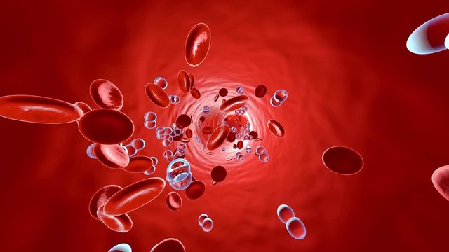 Animation of Oxygen molecules floating in the blood stream with Erythrocytes.	
