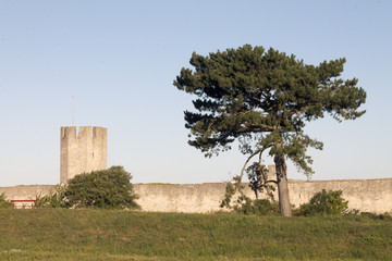 Världsarvsstaden Visby med dess rungmur