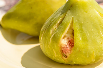 Mature fruit of the fig tree