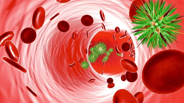 Animation of a generic Virus floating in the bloodstream.
