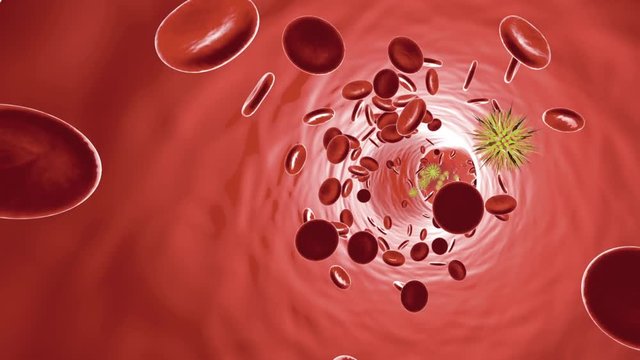 Animation of a generic Virus floating in the bloodstream.
