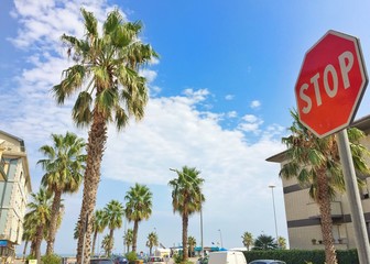 Naklejka premium elegant boulevard with palms and a STOP signal
