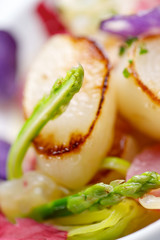 Scallop with pil pil jellyfish.