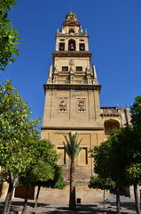 Fototapeta na wymiar Cordova - La Mezquita