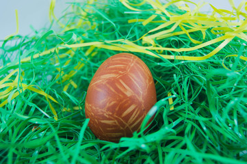 Easter egg painted natural color of the shell onions and herbs