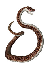 Obraz premium 3D Rendering Rattlesnake on White