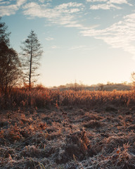 Grass in frost at dawn. Autumn landscape with meadow. Blue cloudy sky