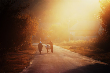 Evening walk. Elderly couple with bag on bicycle walking along road in beautiful evening light. Rural landscape with farmers. Backlight.